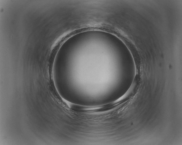 X0000078861214200611131154