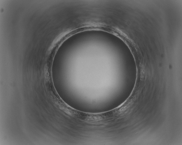 X0000078861215200611131154