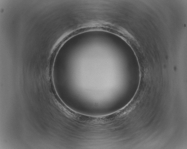 X0000078861216200611131154