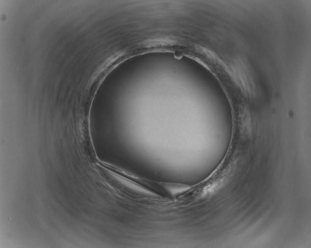 X0000078861217200611131154