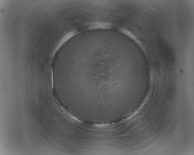 X0000078861219200611131154