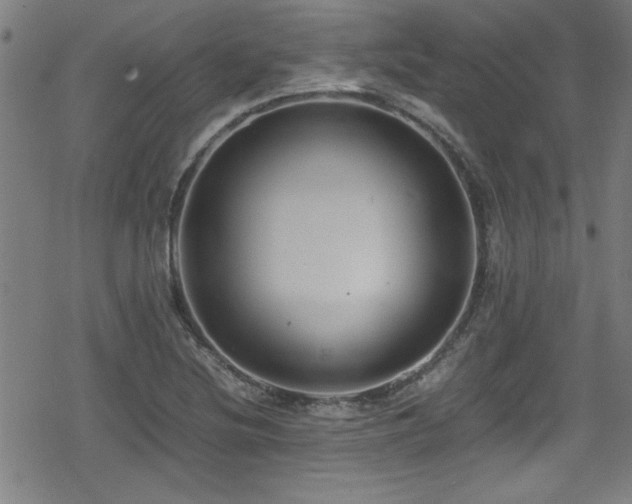 X0000078861220200611131154