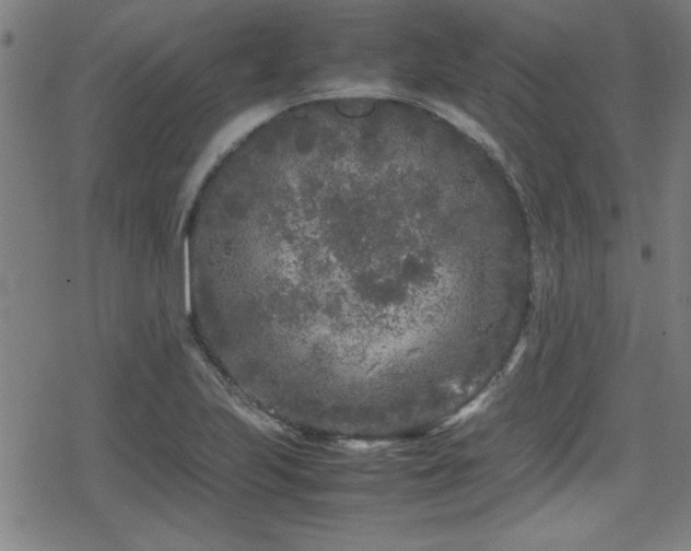 X0000078861223200611131154