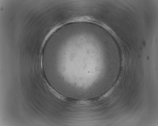 X0000078861224200611131154