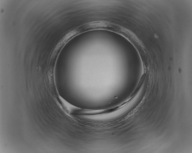 X0000078861225200611131155