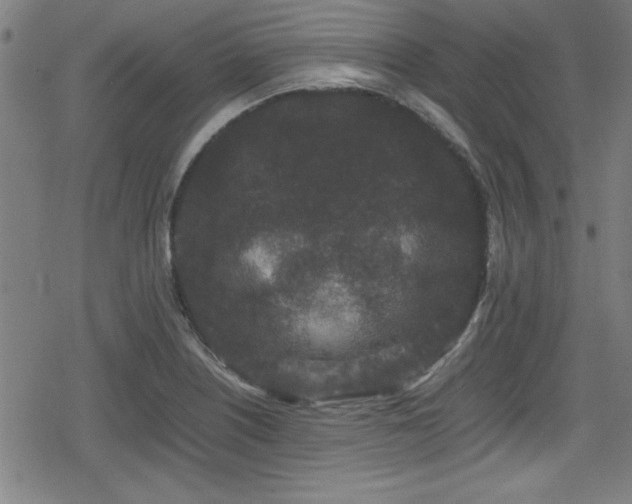 X0000078861226200611131155