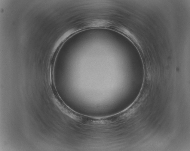 X0000078861227200611131155