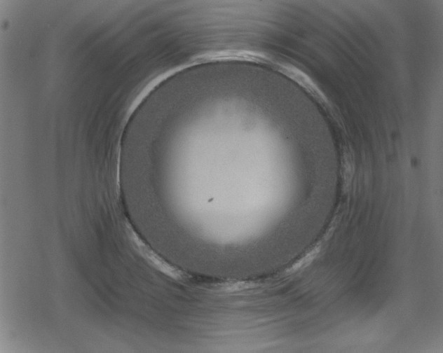 X0000078861228200611131155