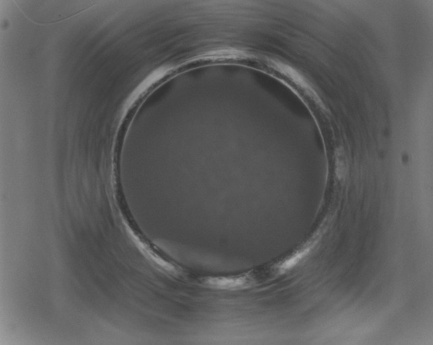 X0000078861229200611131155