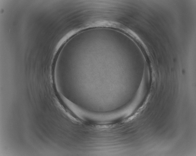 X0000078861230200611131155