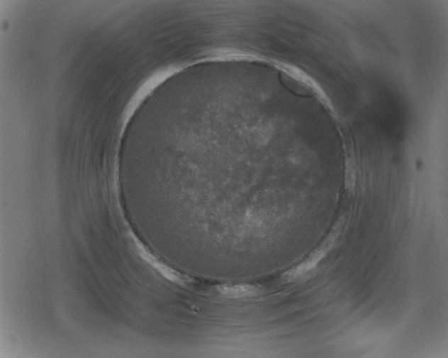 X0000078861231200611131155