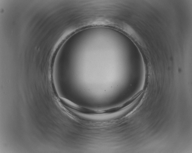 X0000078861232200611131155