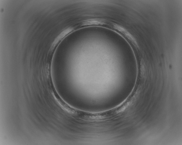 X0000078861233200611131155