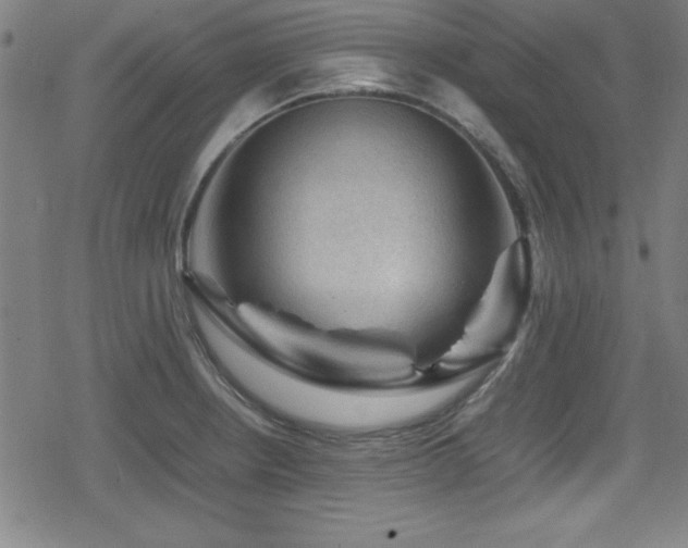 X0000078861234200611131155