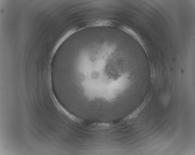 X0000078861235200611131155