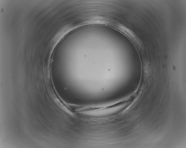 X0000078861236200611131155