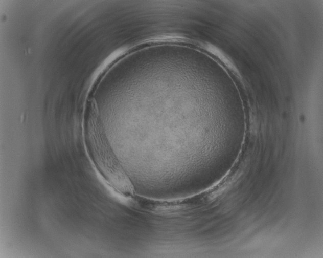 X0000078861237200611131155