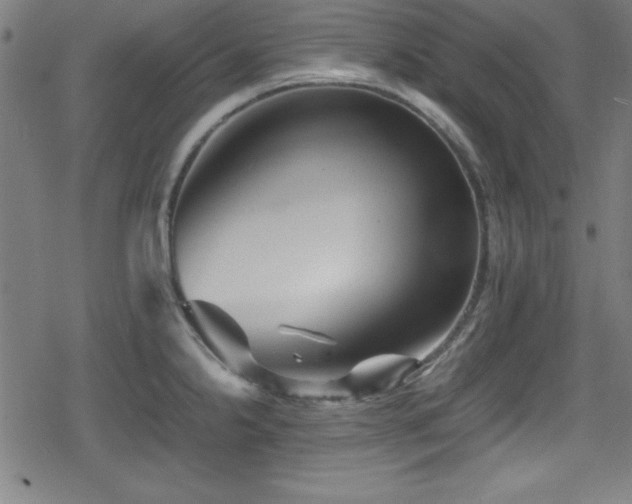 X0000078861238200611131155