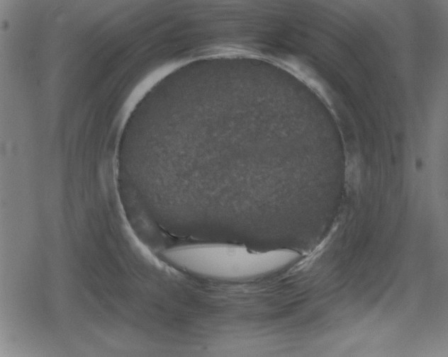 X0000078861239200611131155