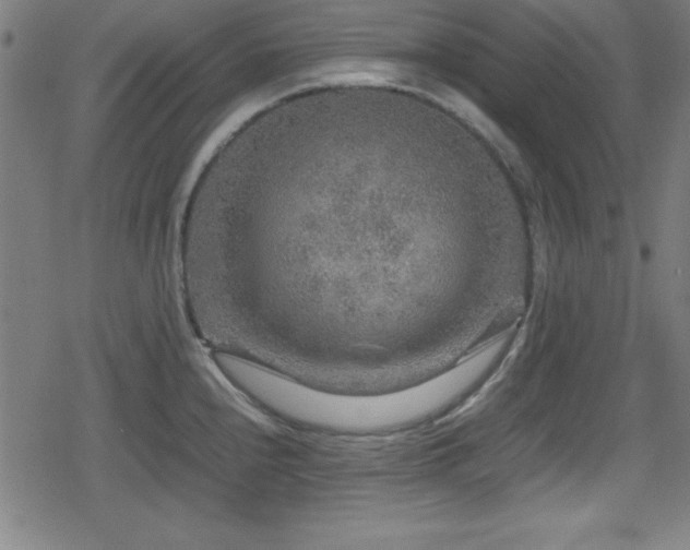 X0000078861240200611131155