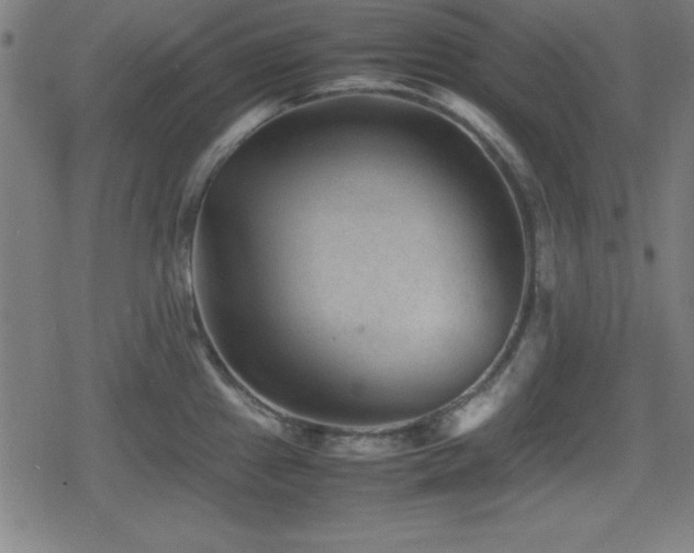 X0000078861241200611131155