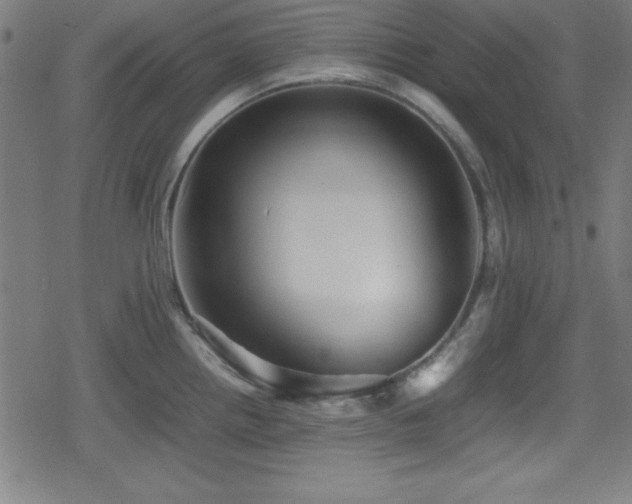 X0000078861242200611131155