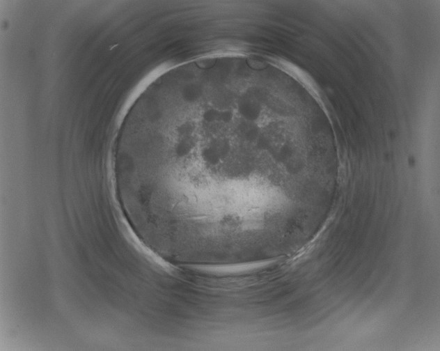 X0000078861243200611131155