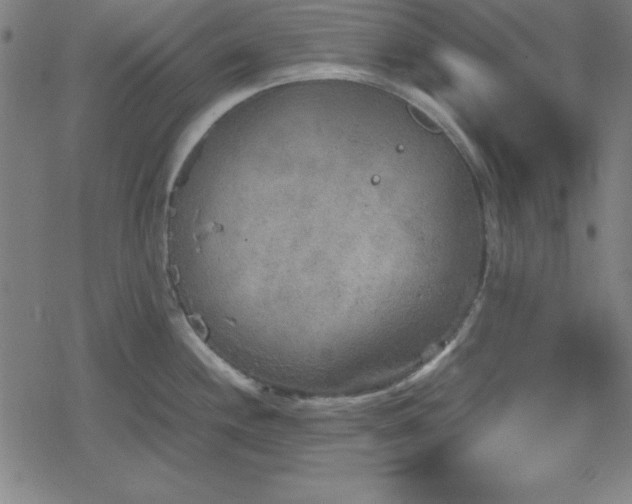 X0000078861244200611131155