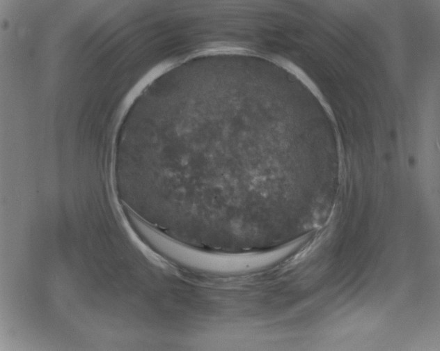 X0000078861245200611131155