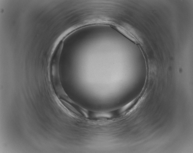 X0000078861246200611131155