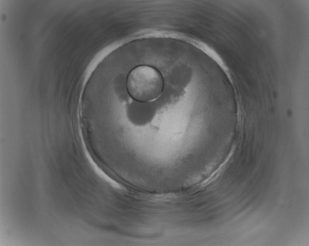 X0000078861247200611131155