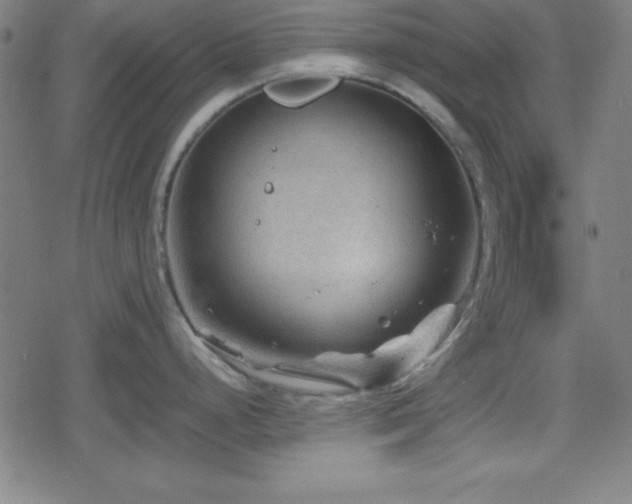 X0000078861248200611131155