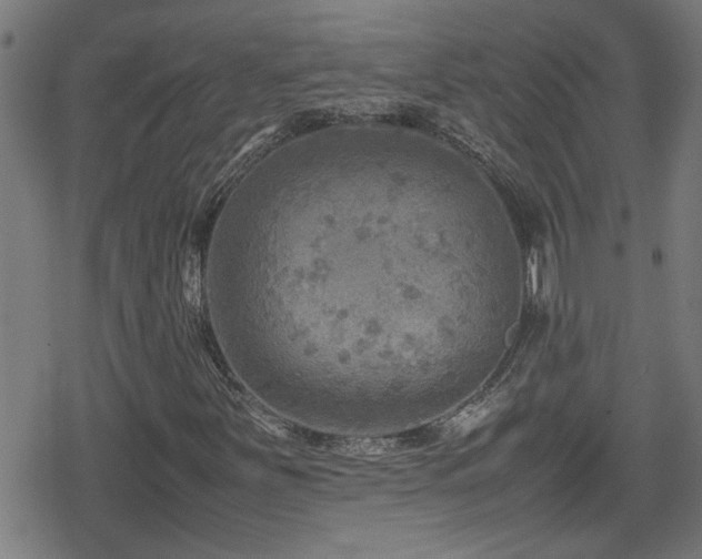 X0000078861251200611131154