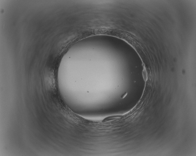 X0000078861252200611131154