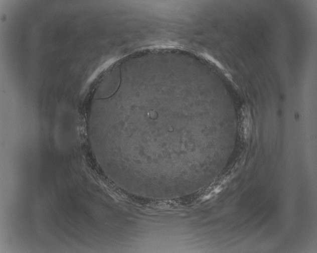 X0000078861255200611131154