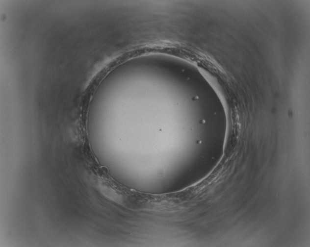 X0000078861256200611131154