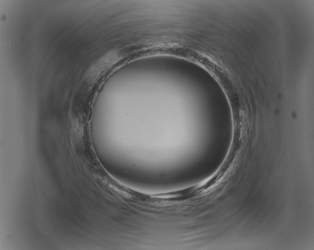 X0000078861257200611131154