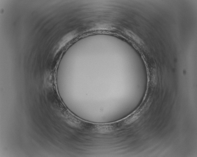 X0000078861258200611131154