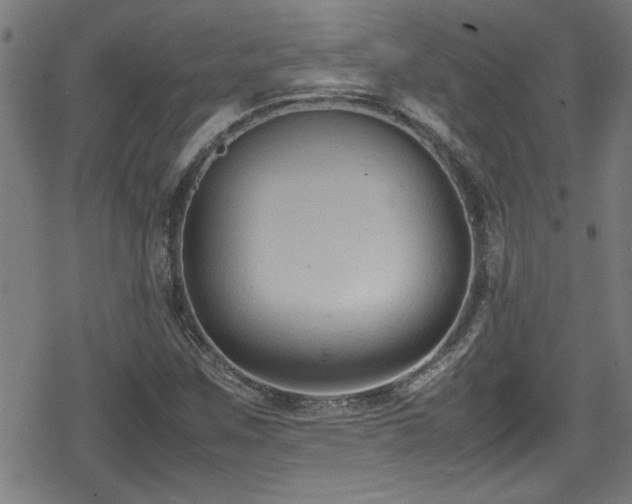 X0000078861259200611131154