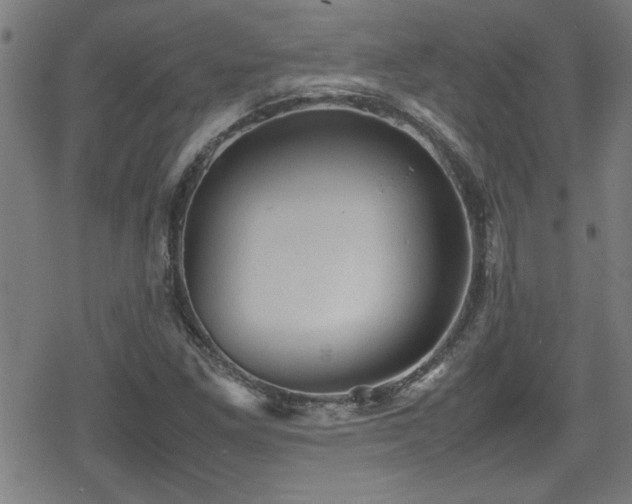 X0000078861261200611131154