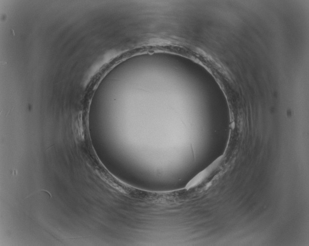 X0000078861262200611131154