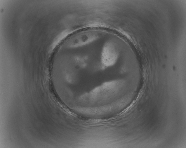 X0000078861263200611131154