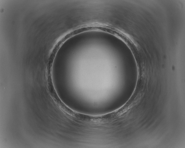 X0000078861264200611131154