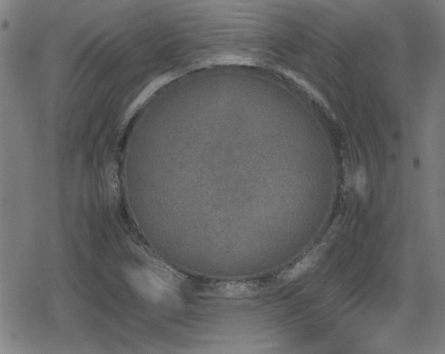 X0000078861266200611131154