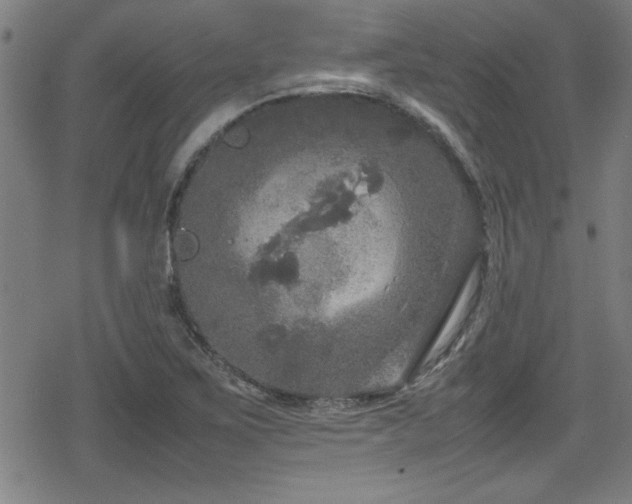 X0000078861267200611131154