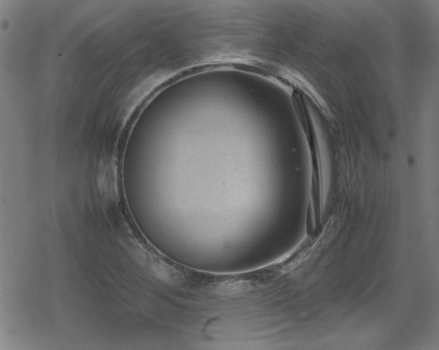 X0000078861268200611131154