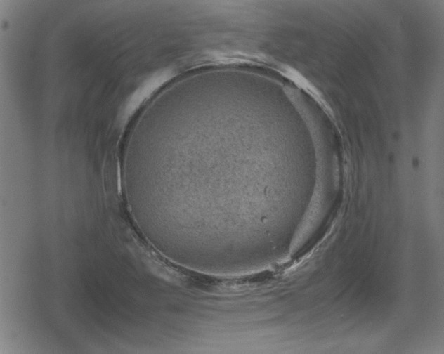 X0000078861269200611131154