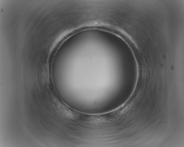 X0000078861270200611131154