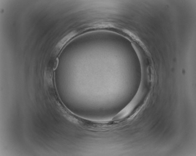 X0000078861273200611131154