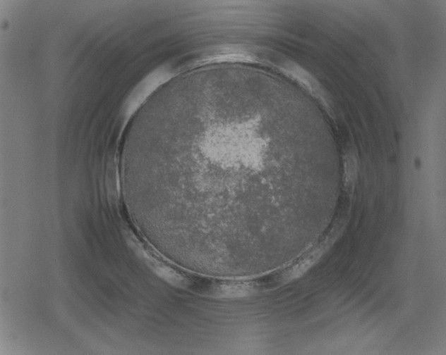 X0000078861274200611131154